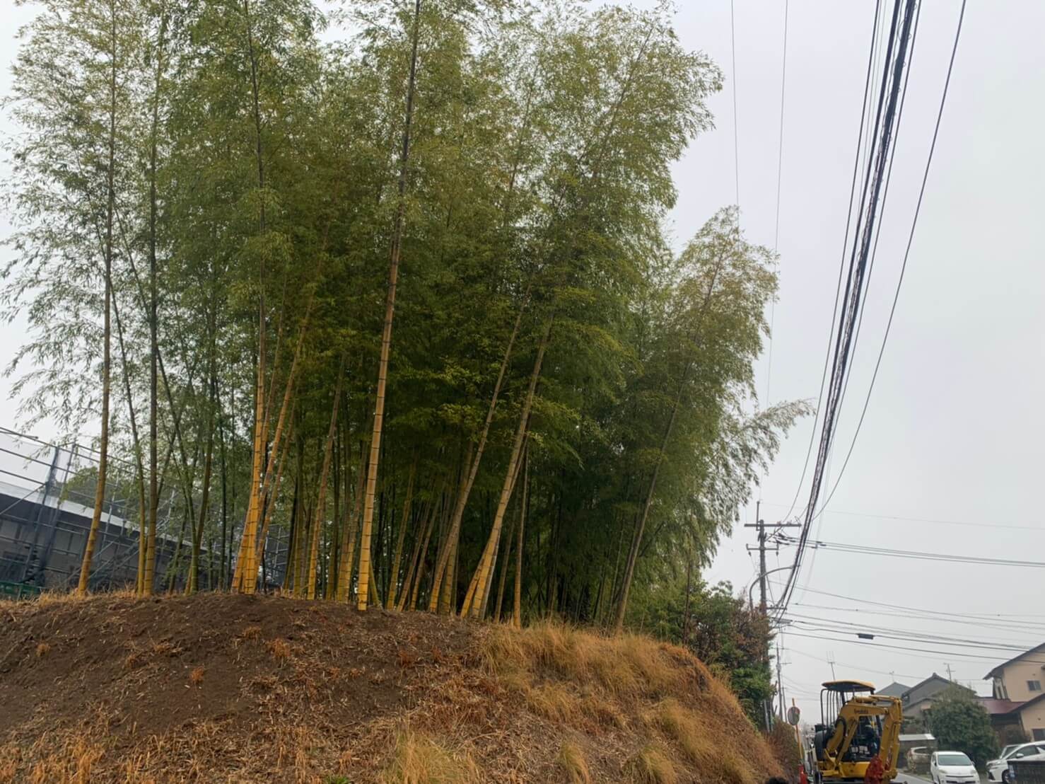 道路沿い、急斜面の上、電線の近くという三拍子な現場